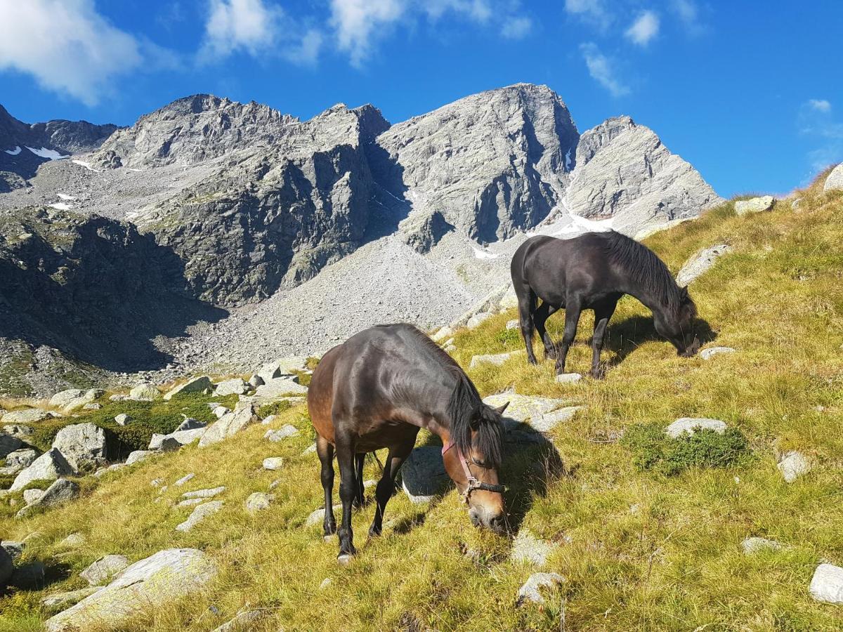 La Mura' - Il Vostro Posto Nel Gran Paradiso Ronco Canavese ภายนอก รูปภาพ