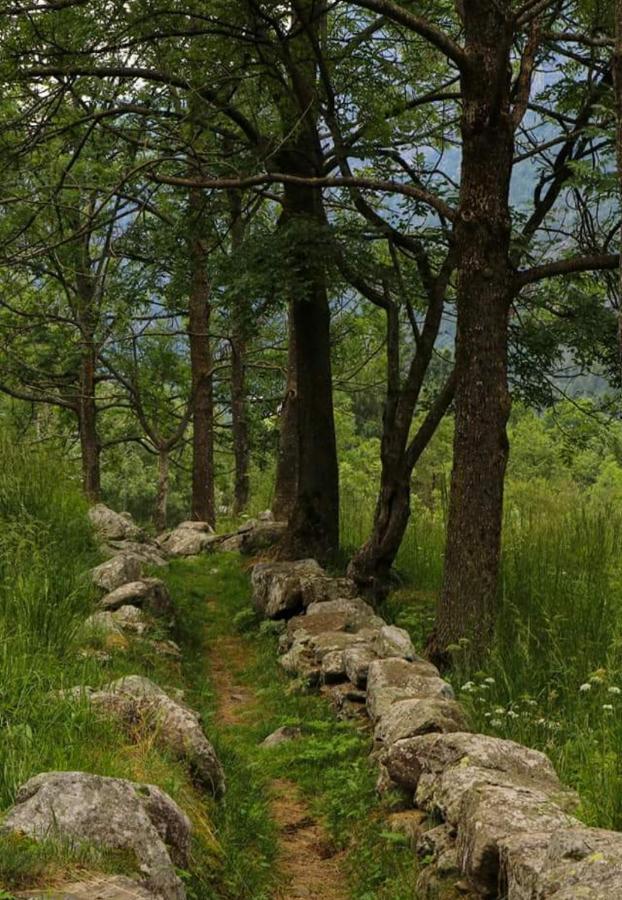 La Mura' - Il Vostro Posto Nel Gran Paradiso Ronco Canavese ภายนอก รูปภาพ